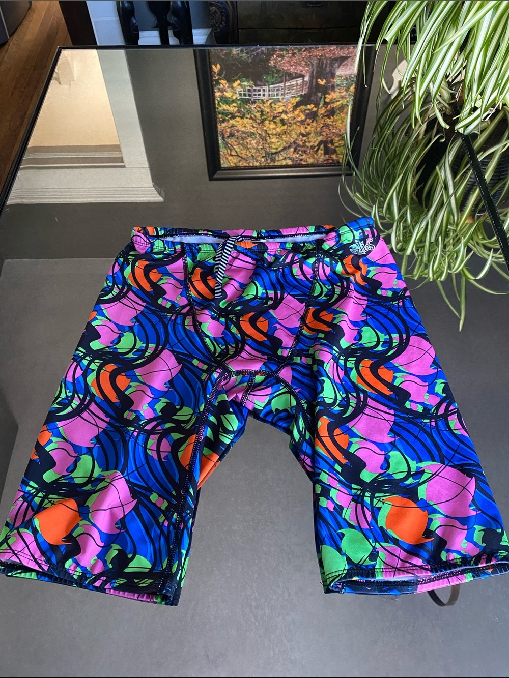 Dolfin Uglies Swim Jammer Shorts featuring the "So Fresh" print, Mens 34